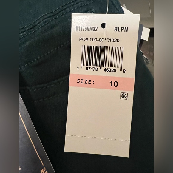 Democracy Blue Pine Ankle Skimmers Pant - Picture 7 of 9